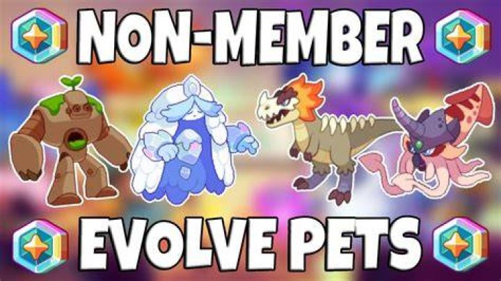 How do I make my pet Pakka evolve?